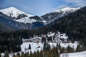 L'albero di Natale per il papa arriva dalla Valsugana