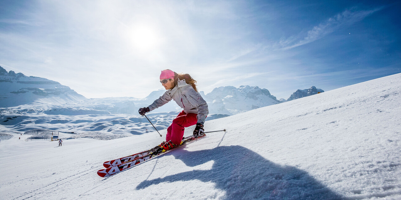Il Trentino ritorna "in pista" #2