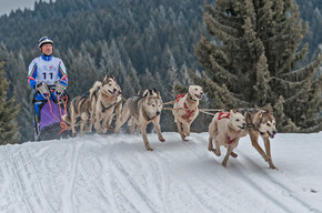 Millegrobbe nuova capitale dello sleddog