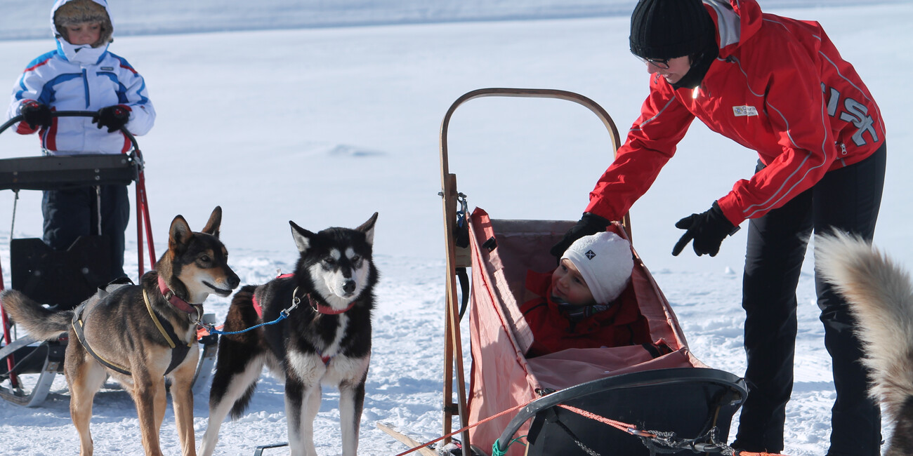 Millegrobbe nuova capitale dello sleddog #3