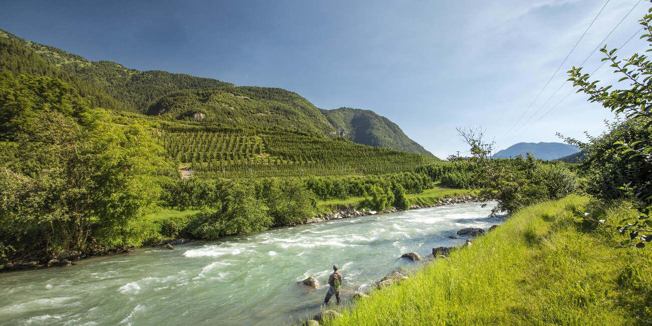 Lenze mondiali su  fiumi e torrenti in Val di Sole #1