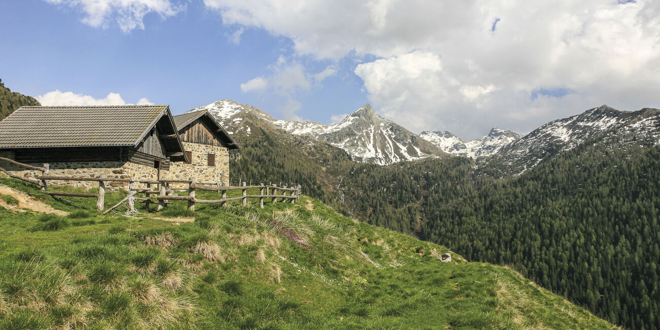 "Cammina Tesino", a passo lento nella natura #3