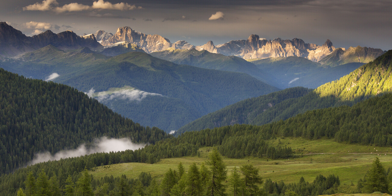 "Cammina Tesino", a passo lento nella natura #1