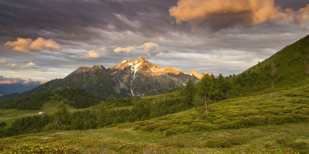 "Cammina Tesino", a passo lento nella natura #2