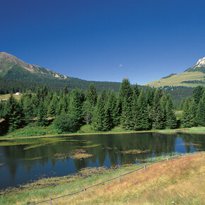 Passo di Lavazè 