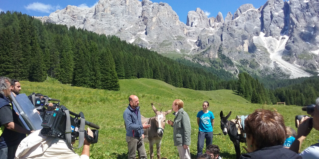 L'estate nelle Dolomiti trentine a Sereno Variabile #1