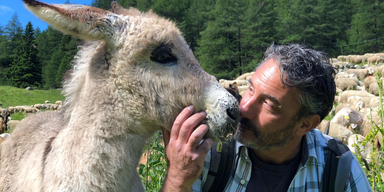 "Melaverde" in Trentino, puntata sulla pastorizia #2