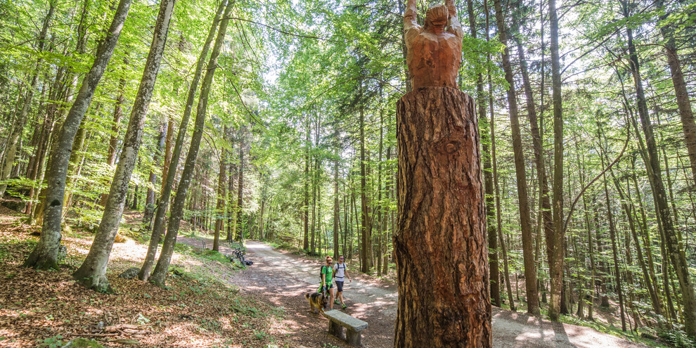 Alpe Cimbra - Percorso del Respiro degli Alberi