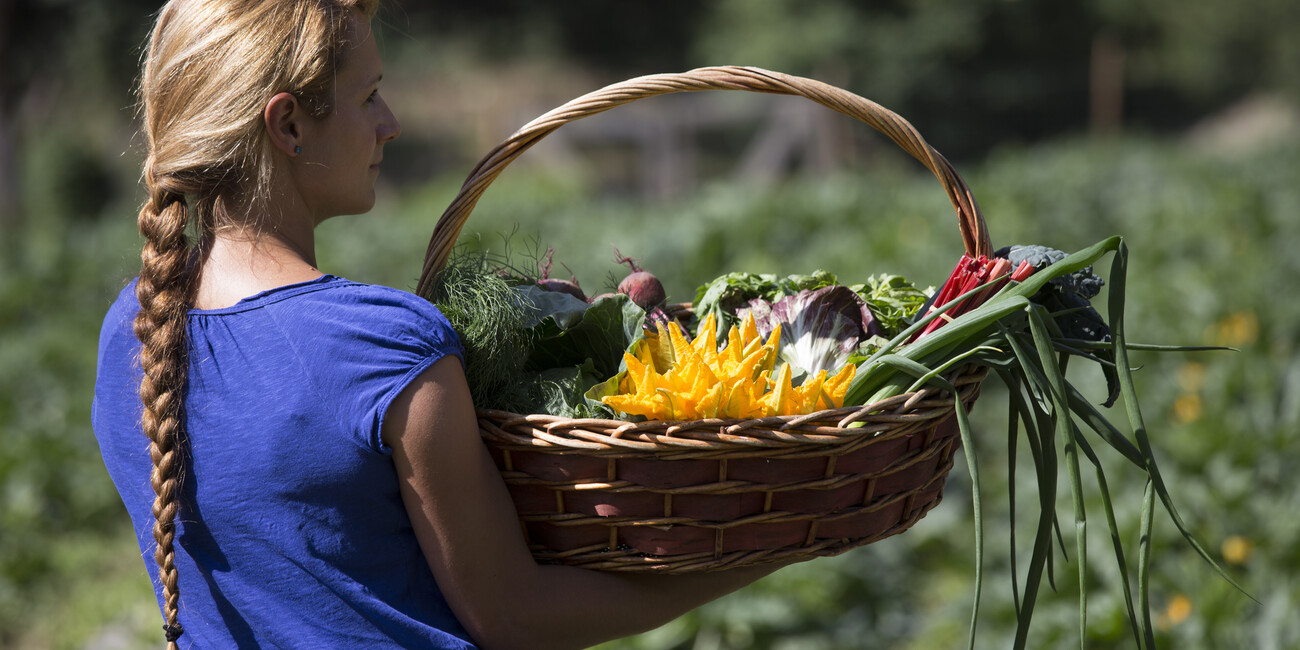 IL GUSTO DEL TRENTINO…IN UN BARATTOLO	 #3