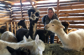 A MELAVERDE UN TRENTINO INASPETTATO