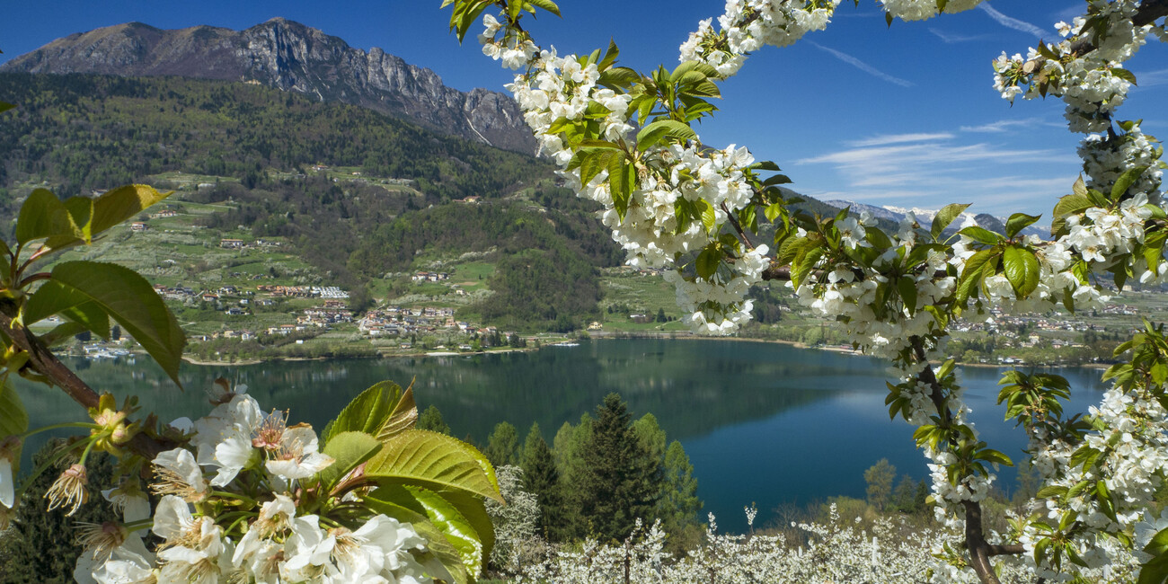 PRIMAVERA IN RIVA AI LAGHI #2