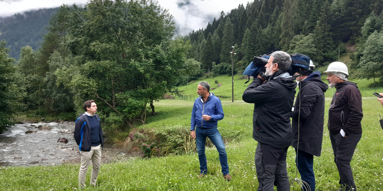 IL TRENTINO A MELAVERDE #1