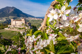 OCCASIONI PER VIVERE LA BELLA STAGIONE IN TRENTINO 