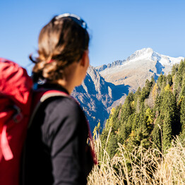 Tra Madonna di Campiglio e il Lago d’Idro, 50 valli alpine “per scoprire e per scoprirsi”