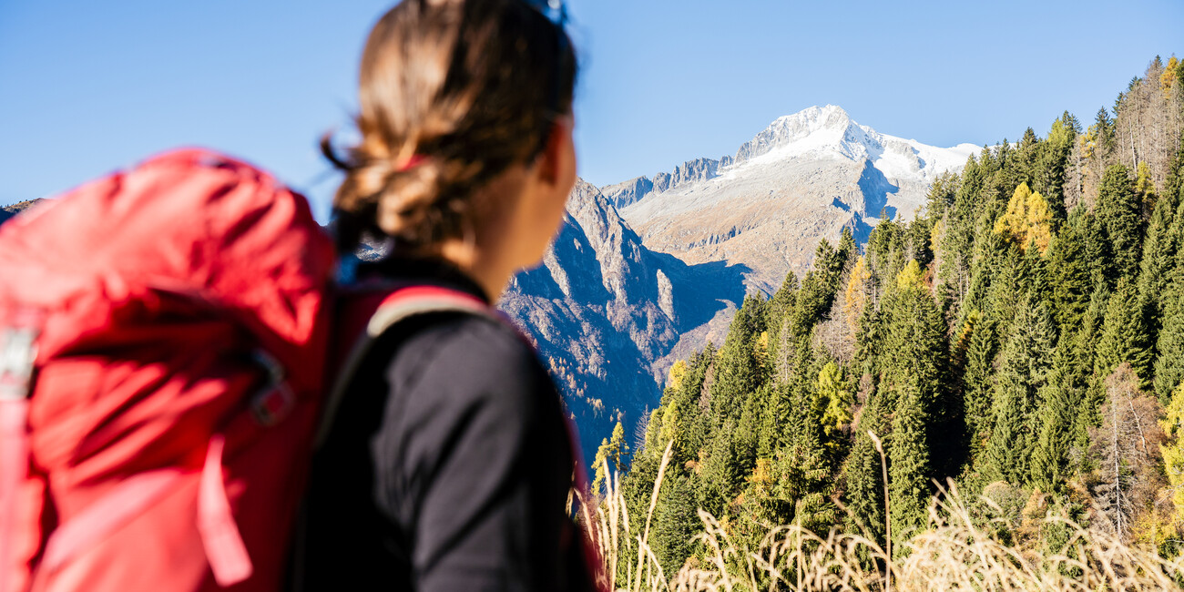 Tra Madonna di Campiglio e il Lago d’Idro, 50 valli alpine “per scoprire e per scoprirsi” #1
