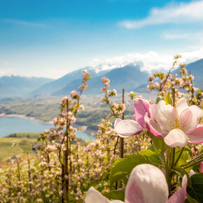 Press Trip Inspirations