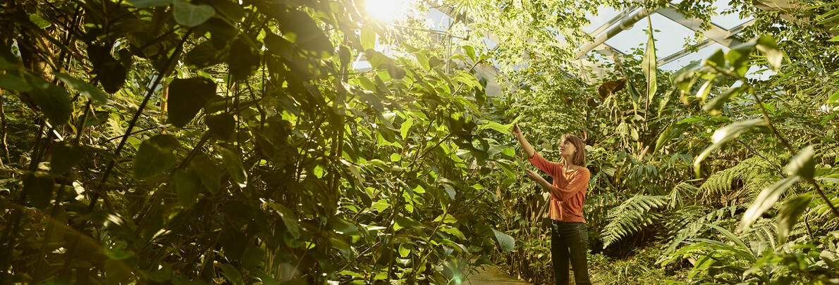 Stories of life in Trentino