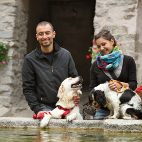 Pet friendly holidays