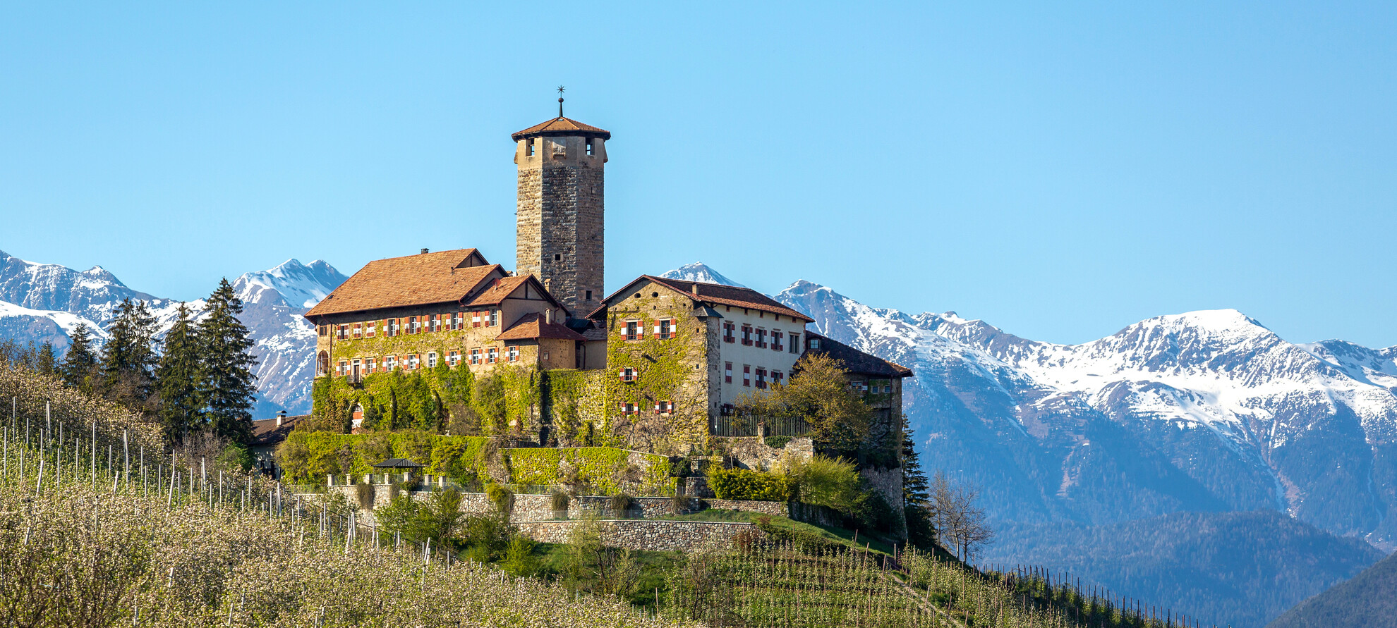 Odkryj piękno średniowiecza!