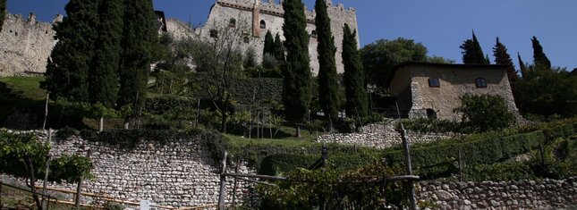 Castle of Avio | © Foto Archivio Apt