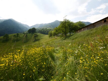 RR Alpi Ledrensi - Anna Sustersic - Malga Grassi | © RR Alpi Ledrensi - Anna Sustersic -Malga Grassi