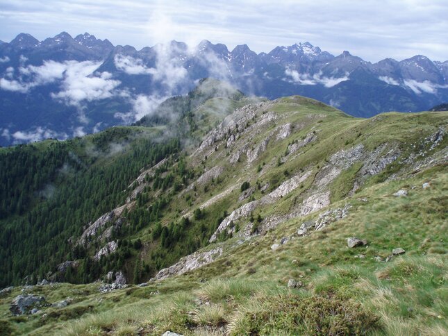 ZSC Alta Val di Stava, Cima Pizzancae | © ZSC Alta Val di Stava, Cima Pizzancae