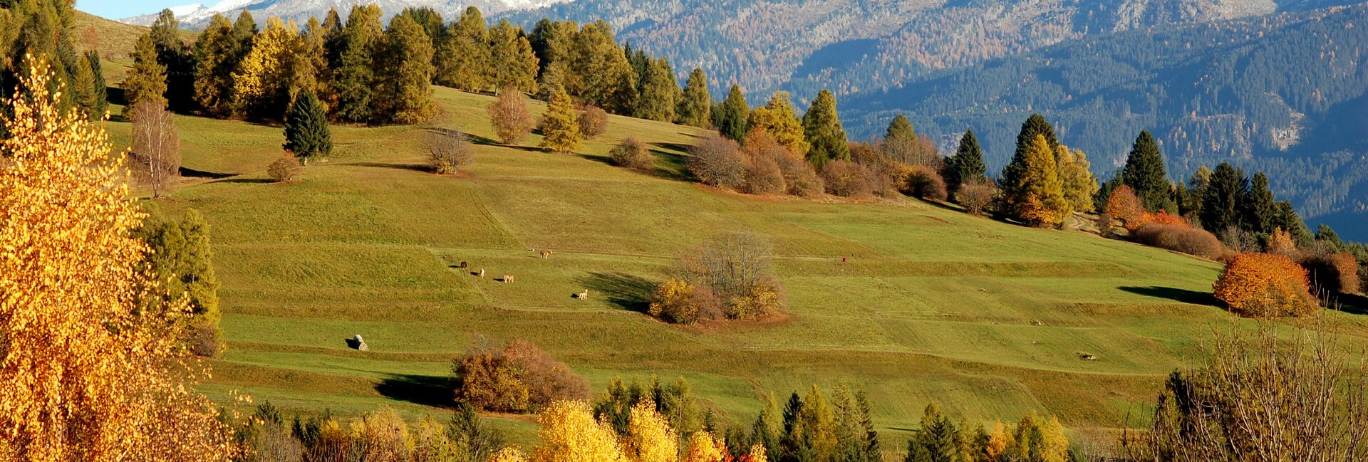 Reservatnetz - Val di Fiemme Destra Avisio