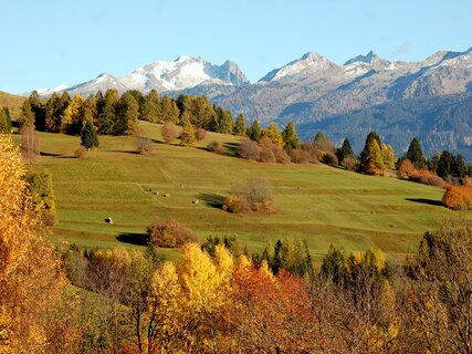 Network of Nature Reserves -  Val di Fiemme destra Avisio