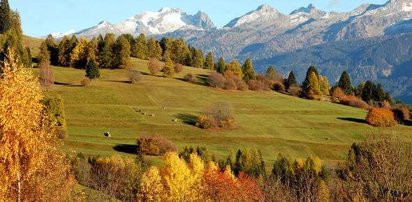 Rete di Riserve Val di Fiemme destra Avisio