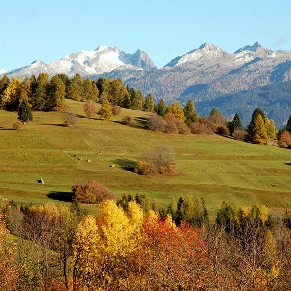 Rete di Riserve Val di Fiemme destra Avisio