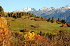 Network of Nature Reserves -  Val di Fiemme destra Avisio