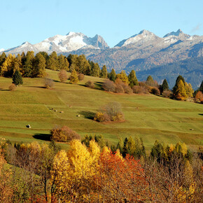 Network of Nature Reserves -  Val di Fiemme destra Avisio