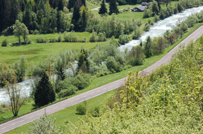 Rete di Riserve Val di Fiemme destra Avisio | © RR Val di Fiemme Destra Avisio - Torrente Avisio