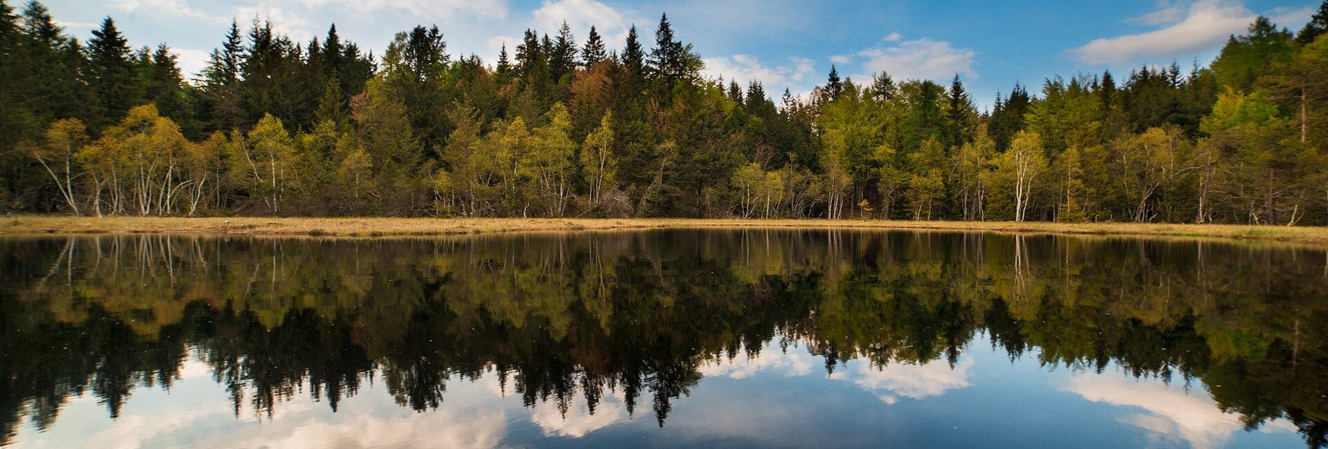 Network of Nature Reserves Cembra - Avisio | © Foto Archivio Rete di Riserve Cembra – Avisio