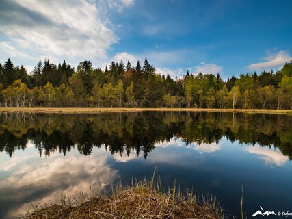 Network of Nature Reserves Cembra - Avisio | © Foto Archivio Rete di Riserve Cembra – Avisio