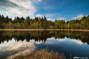Rete di Riserve Cembra – Avisio | © Foto Archivio Rete di Riserve Cembra – Avisio