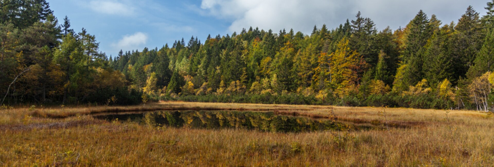 Network of Nature Reserves Cembra - Avisio | © Foto Archivio Rete di Riserve Cembra – Avisio