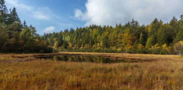 Network of Nature Reserves Cembra - Avisio | © Foto Archivio Rete di Riserve Cembra – Avisio