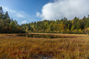 Network of Nature Reserves Cembra - Avisio | © Foto Archivio Rete di Riserve Cembra – Avisio