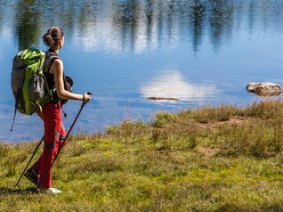 Reservatnetz Cembra - Avisio | © Foto Archivio Rete di Riserve Cembra – Avisio