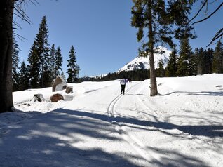 Centro Fondo Passo di Lavazé - SuperNordicSkipass | © Centro Fondo Passo di Lavazé - SuperNordicSkipass