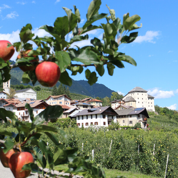 Castel Caldes - APT Val di Sole - photo D. Andreis | © Castel Caldes - APT Val di Sole - photo D. Andreis
