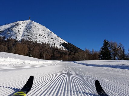 Centro Fondo Viote Monte Bondone - photo SuperNordicSkipass | © Centro Fondo Viote Monte Bondone - photo SuperNordicSkipass