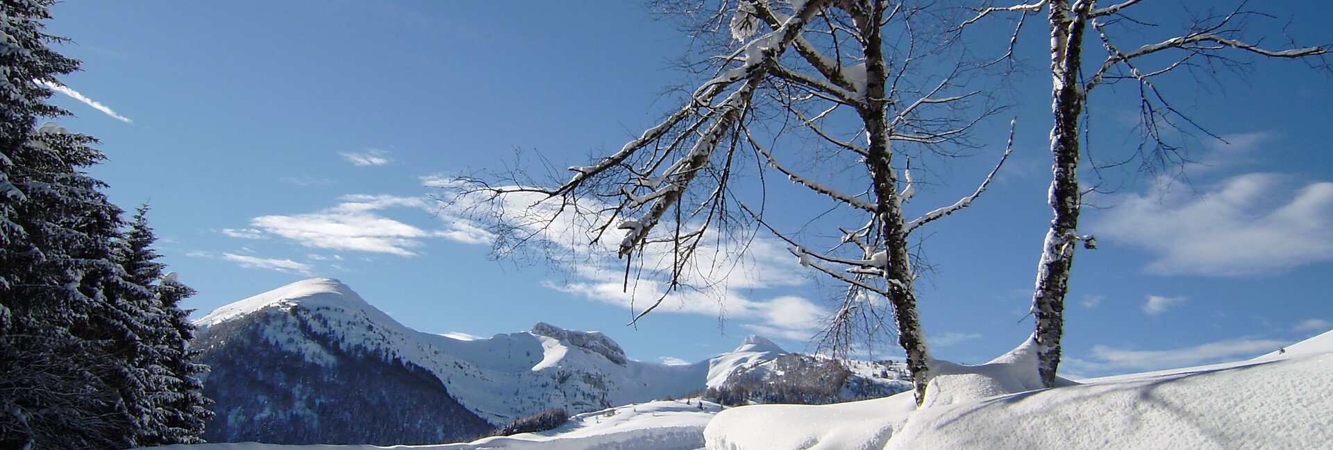 Centro Fondo Viote Monte Bondone - photo SuperNordicSkipass | © Centro Fondo Viote Monte Bondone - photo SuperNordicSkipass