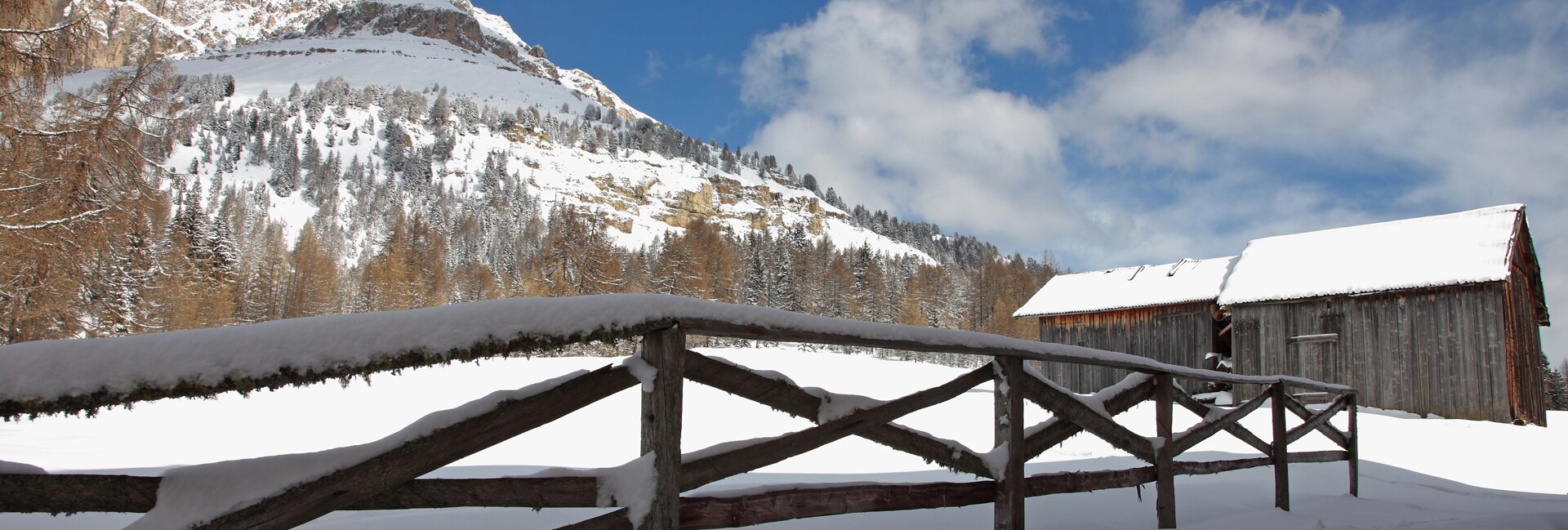 Passo Costalunga-Carezza: winter holiday in the nature