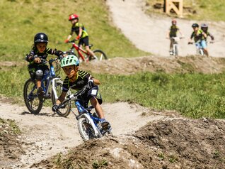 Bike Park Ponte di Legno Tonale