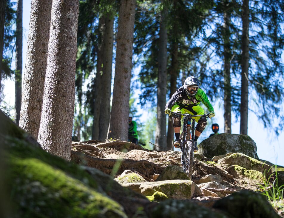 Bike Park Val di Sole