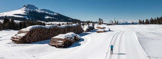 Centro Fondo Passo di Lavazè 