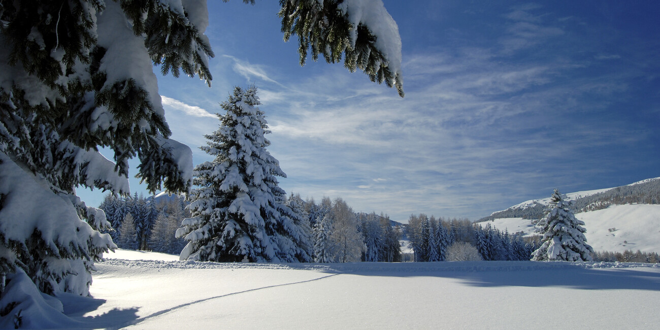 Monte Bondone #4 | © 22453-monte-bondone-inverno-giovanni-cavulli