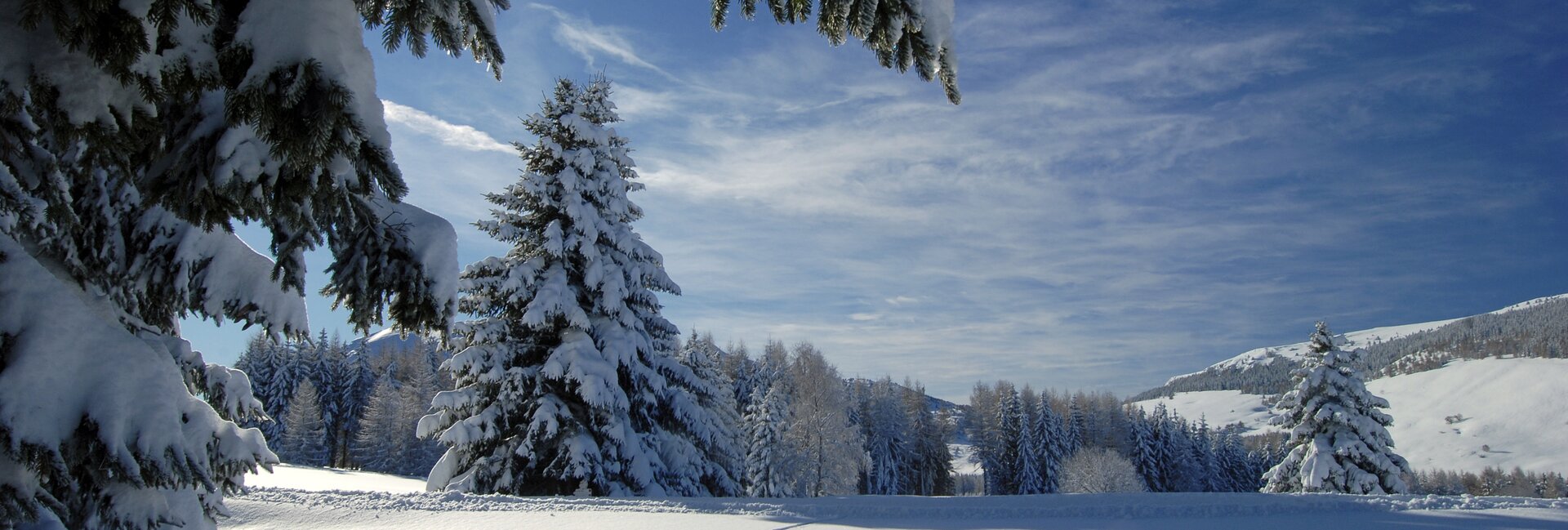 22453-monte-bondone-inverno-giovanni-cavulli | © 22453-monte-bondone-inverno-giovanni-cavulli